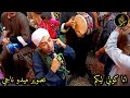 الشيخ محمد حماده حفله سيدنا الحسين أنا كولي ليكم تصوير م ميدو ناجي 