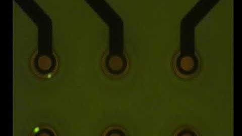 Ring traps: isolating single HeLa cells using dielectrophoresis