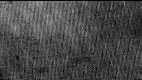 Jauzas The Shining-Sensual (Transient Force)