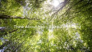 Think About You - Sture Zetterberg