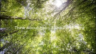 Download lagu Think About You - Sture Zetterberg
