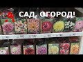 #VLOG Обзор товаров для сада в магазине АШАН! Цены на семена и цветы!