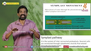 KITE VICTERS Plus One Botany Class 42 (First Bell-ഫസ്റ്റ് ബെല്‍)