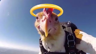 UNEXPECTED MEME COMPILATION V19 (You Laugh, You Lose)