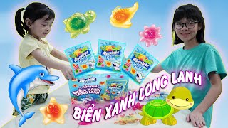 Khám Phá Đại Dương Với Hộp Quà Biển Xanh Long Lanh Kẹo Dẻo Alpenliebe Jelly Anan Toysreview Tv 