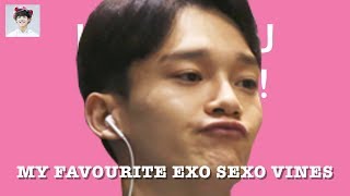 || MY FAVOURITE EXO SEXO VINES ||