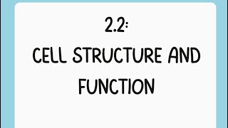 ✨AP Bio Topic 2.2 TikTok: Cell Structure and Function✨