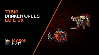 Tibia - Draken Walls - ED 266 + EK 228 1hr Hunt