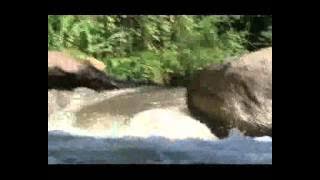Pengarungan Sungai Ayung.mp4