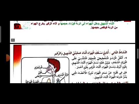 درس مسلك الهواء في الجهاز التنفسي السنة الرابعة ابتدائي تربية علمية