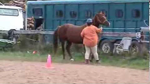 Darlene Ward/MDA Mr Mercedes/Ranch handling Sept30