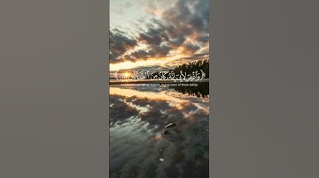 تلاوه تهز القلوب…ياسر الدوسري.#quran #ياسر_الدوسري #المصحف