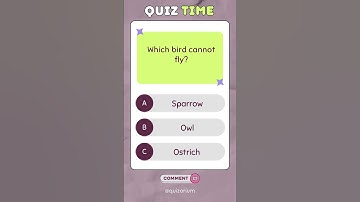 Comment the Answer Below | #quiz #quiztime #answer