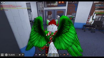 QSERF new DMR chamber startup.