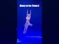 Elsa Incredible Aerial Performance 
