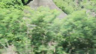 新左營到樹林南迴線431普悠瑪號路程風景