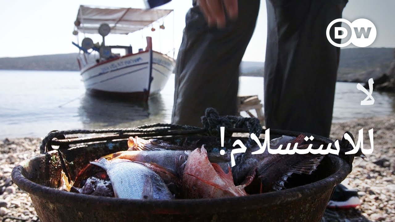 صغر الأسماك مصدر قلق كبير | وثائقية دي دبليو – وثائقي  بيئة