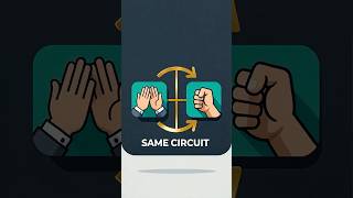 Bruce Lee Training: Same Circuit — High‑Five to Knockout