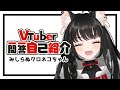 【自己紹介】Vtuber一問一答自己紹介《 \#新人vtuber | \#みしらぬクロネコちゃん 🐈⬛🌱 》