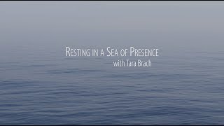 Guided Meditation: Resting in a Sea of Presence, with Tara Brach screenshot 5