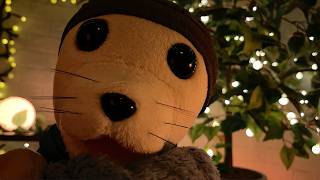 Pet Fluffy Seal Tucks You In & Watches Over You While You Sleep 🦭 | Cozy ASMR Gentle Triggers screenshot 2