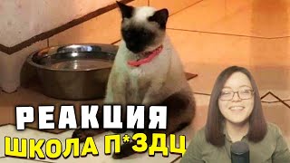 ЗАСМЕЯЛСЯ - ПОДПИСАЛСЯ!! ЛУЧШИЕ ПРИКОЛЫ 2020 ТЕСТ НА ПСИХИКУ УГАР! #243 - Реакция на Союз Смеха!