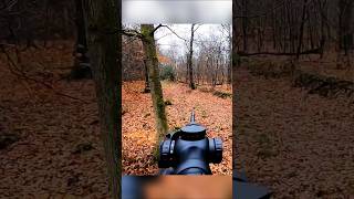 Forest Hunt with Three Deer and One Perfect Shot #harehunting #hunting #hunthowdown #hunt #deerhunt
