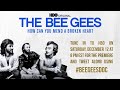 Bee Gees - An Audience with the Bee Gees, ITV Studios, London, UK (Sep 13, 1998) 2160p UltraHD 4K