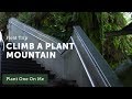 Gardens by the Bay Cloud Forest Dome Tour — 3 of 5 — Ep 100