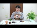 のんさんCoffee①　牧師が淹れる！ 4:6メソッド編