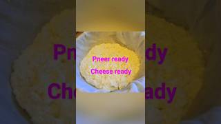 HOW TO MAKE CHEESE At HOME shortsfeed