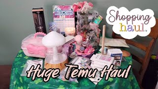 Extreme Temu Haul! Lots of goodies! I must've been in need of therapy when I made this order!