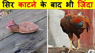 ऐसे जानवर जो मरने के बाद भी जिंदा रहते हैं | Secret Sach