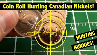 Coin Roll Hunting Nickels - Hunting Bunnies?!