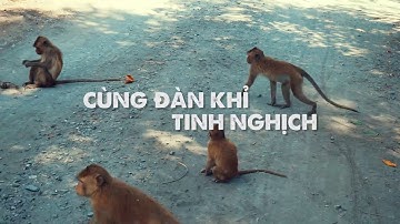 Mangrove Biking Vàm Sát Cần Giờ [Trailer]