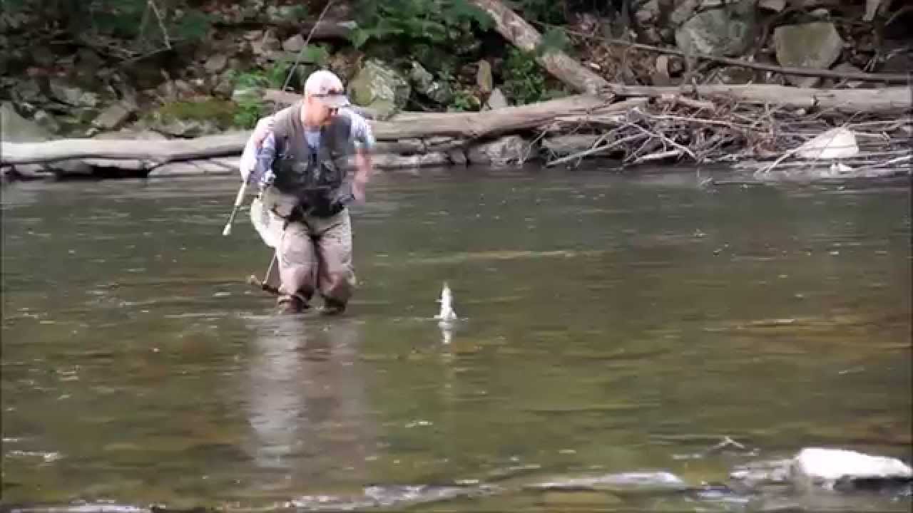 penns creek online dating Station--01555000 penns creek at penns creek, pa location--lat 40`52'00, long 77`02'55, union county, hydrologic unit 02050301, on left. penns creek online dating Station--01555000 penns creek at penns creek, pa location--lat 40`52'00, long 77`02'55, union county, hydrologic unit 02050301, on left.