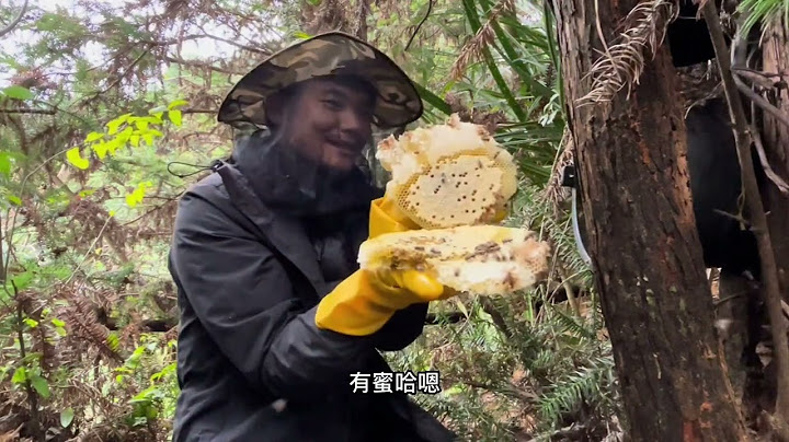 梅林老头偷吃蜂蜜，结果报应来得太快了。让蜜蜂收拾太没气质了！ 1