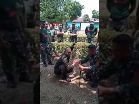 Video: Pahlawan Telara