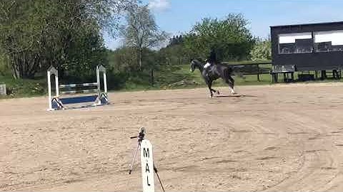 be4e6338 e97b 4017 b1ca 1a2f09c785d2