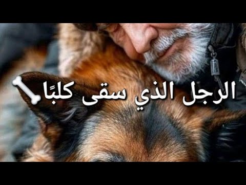 هل تتخيل أن سقيا كلب كانت سبب دخول رجل إلى الجنة