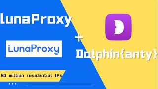 Best Residential Proxy Integration with Dolphin {anty} with High Quality Support Free to Use screenshot 5