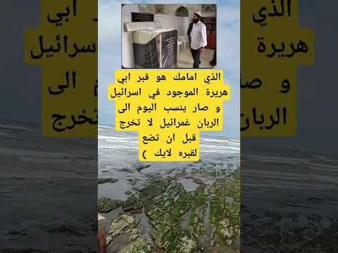 الذي امامك هو قبر ابي هريرة الموجود في اسرائيل و صار ينسب اليوم الى الربان ذواقه