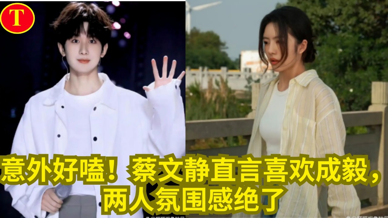 意外好嗑！蔡文静直言喜欢成毅，两人氛围感绝了