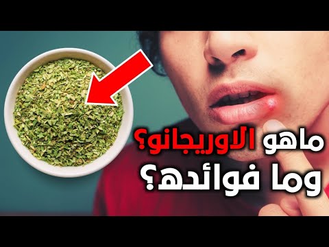 قليل من الناس يعرفون عن تأثير الاوريجانو على الجسم ما هو الاوريجانو وما هي فوائده