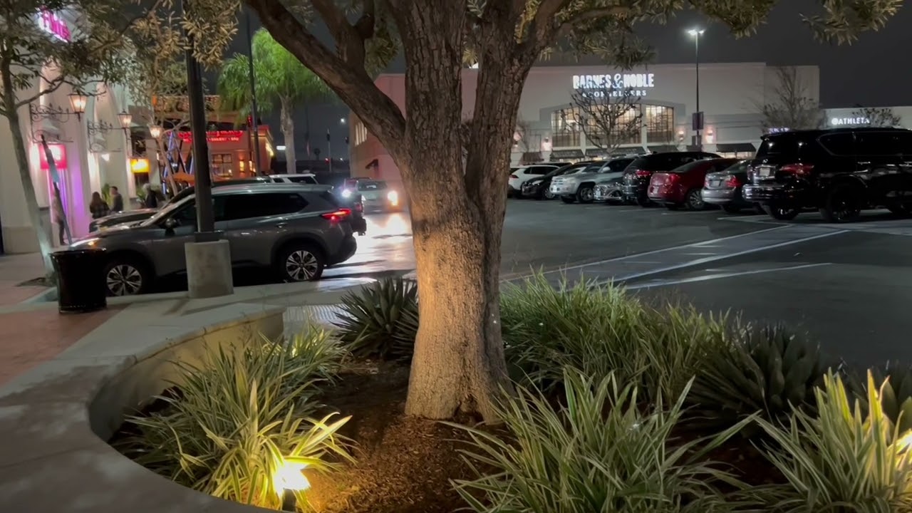 Chiều Nay Không Có Em || St: Ngô Thụy Miên || Hạnh Duyên (Tammy Thuy)Cover