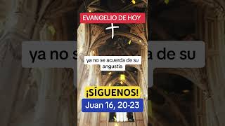 Evangelio de hoy San Juan 16, 20-23 #evangelio #evangeliodehoy