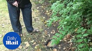 Bill Stephenson left 'baffled' by ashes found in his garden - Daily Mail