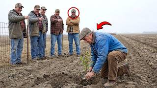 They Called His 30 Acres of Trees a Waste — When the Wind Came His Was the Only Soil Left