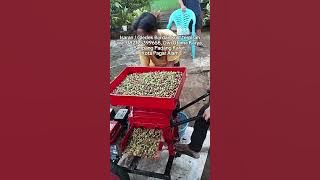 Huller/Pulper Kopi Basah Pisah Biji dan Kulit