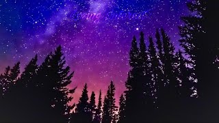 “Losing Interest” - (NVRMind x Syn Beats)